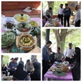 جشنواره غذای سالم برای اولین بار در دانشکده پیراپزشکی داراب